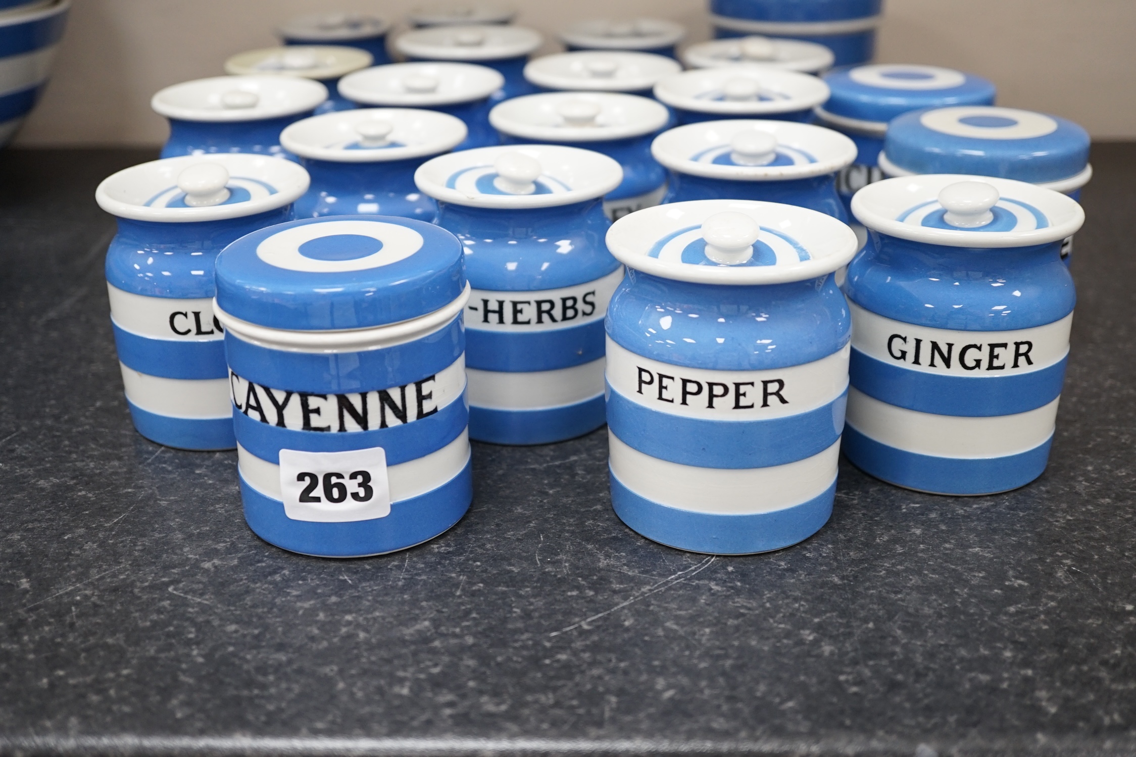 T.G.Green Cornish Kitchenware, twenty 8.5cm lidded storage jars to include Jamaica Pepper, Ginger, Cayenne, Caraway Seeds, Arrowroot and Thyme, Black Shield marks. Condition - poor, fair and good